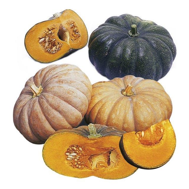 Pumpkins - Image 1