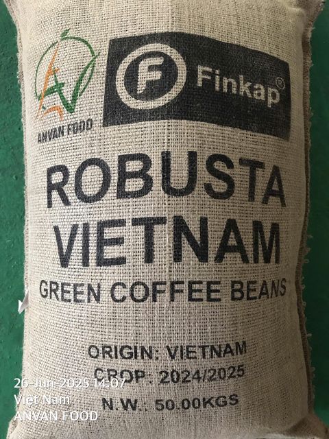 Premium Robusta Green Coffee - Origin From Vietnam - Anvan Dried Food - Image 1