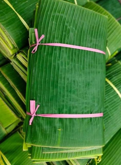 BANANA LEAVES - Image 3
