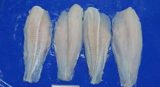 Frozen Pangasius Fillets Well-trimmed, natural white/light pink - Image 2