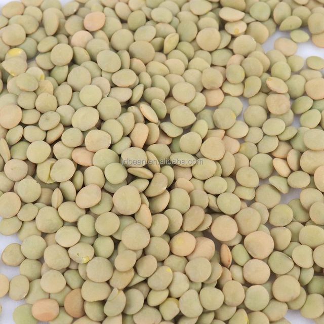 Factory Supply Organic Non GMO New Crop Chinese Dry Green Lentils Green Lentils - Image 3