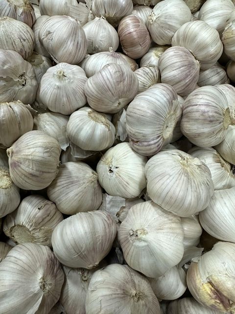 fresh garlic Shelf Life 3 Months Texture More Delicate Flavor Milder, Sweeter Storage Condition Dry Place Primary Use Salad, Sauce, Light - Image 1