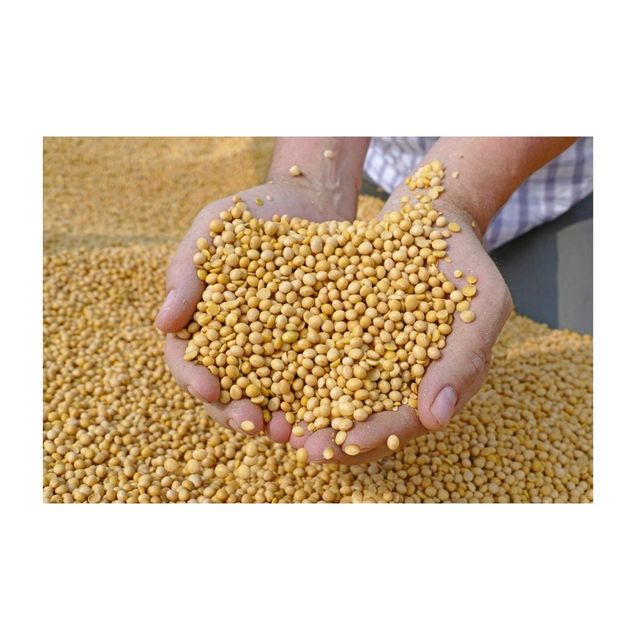 High Protein Quality Soybean Meal / Soya Bean Meal for Animal Feed /Top Quality Organic Soybean meal 42% Protein - Image 2