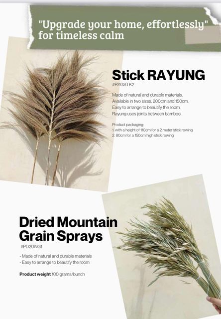Dried Flowers For Home Decoration /Call for price info@rayyanagri.com - Image 4