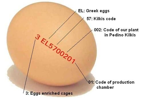 Fresh. Table eggs - Image 1