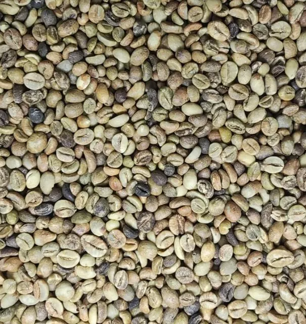 Robusta Green Bean Coffee - Image 1