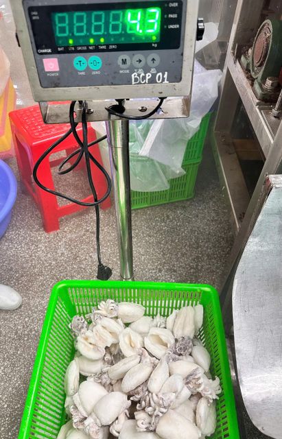 Mực nan làm sạch đông lạnh - Image 3