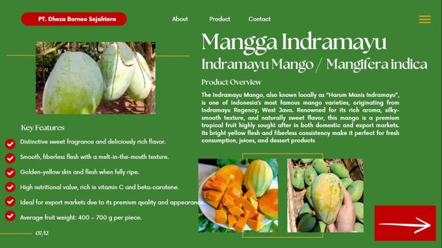 Mango Indramayu (Mangifera indica) – product photo 1, product detail gallery