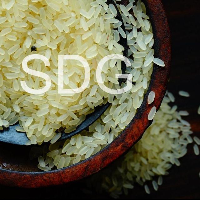 HIGH QUALITY LOW PRICE RICE PARBOILED RICE INDIAN ORGANIC RICE WHOLESALE RATE PACKING AS PER BUYERS REQUIRED - Image 4