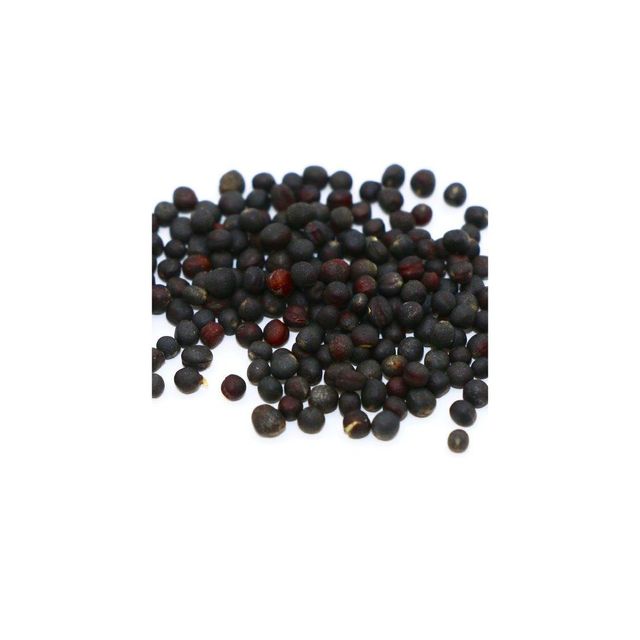 Premium canola seeds available for sale for intern-ational buyers and processors - Image 3