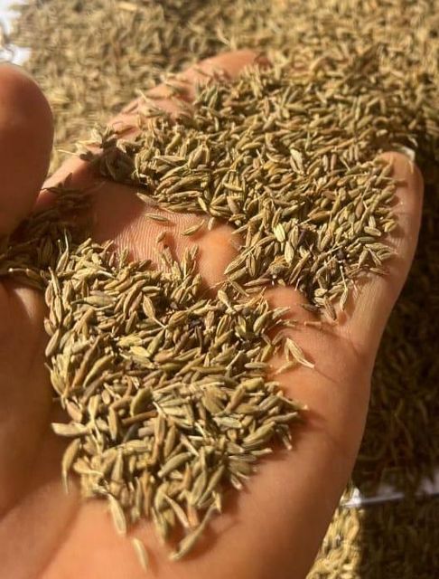 Cumin seeds Grade A Type Seeds Origin Egypt Purity Pure Organic Packaging As desired Place of Origin Egypt Broker Chain No Broker Chain - Image 2