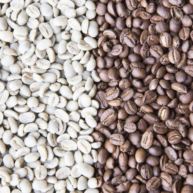 Robusta Coffee Bean Export Quality Fresh Robusta Coffee Bean With Unique Rich Aroma And Natural Flavor Profiles For Traders - Image 3