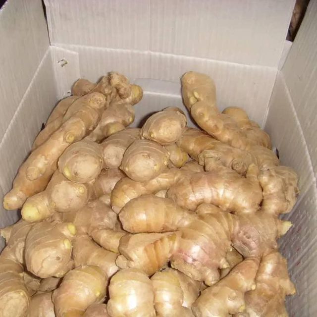 Hot Sale Air Dry Ginger Factory Price Dried Slices Ginger Dry Whole Ginger WHATSAP +255795279787 - Image 3