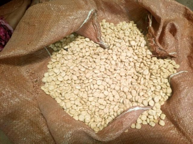 Top-shelf Brilliant White-cream Color Lupin AD Snow White Cream Dried Bitter Premium with 3 Years Shelf Life Bright White 0.5 % - Image 3