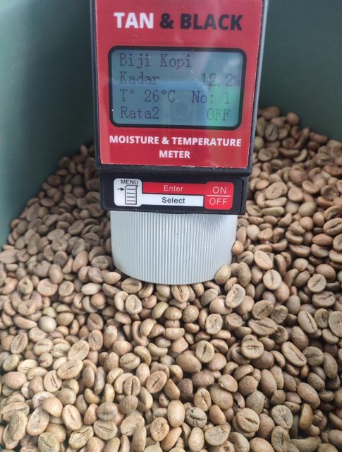 Robusta Coffee - Image 4