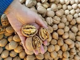 Wholesales Walnut Kernels Blanched Peanuts Nuts and Kernel Peeled Walnuts Raw White Walnuts Edible Kernels - Image 3