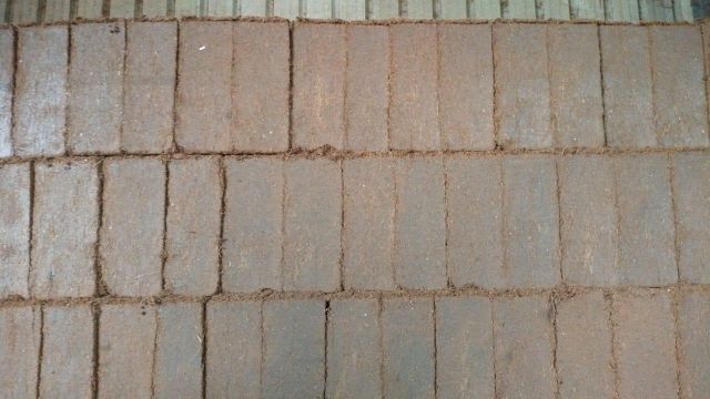 Coco Peat - Image 5