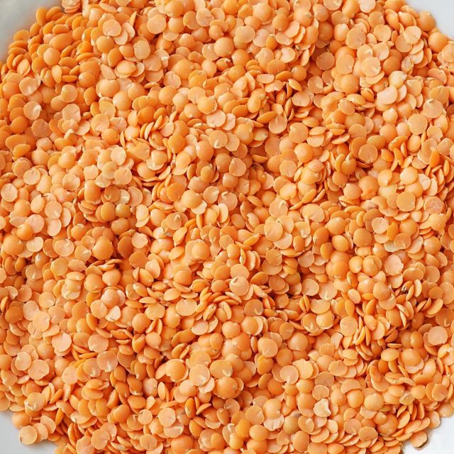 Split Red Lentils (Masoor Dal) - Image 4