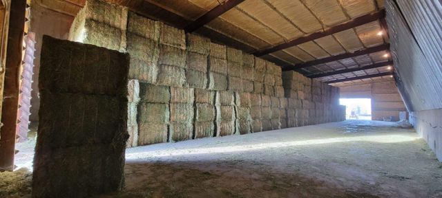 100% Alfalfa Hay Bales and Alfalfa Pellets for Animal Feed - Image 4