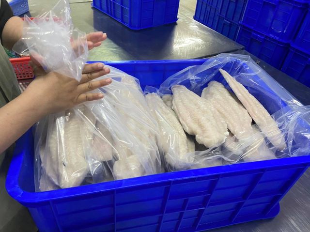 frozen basa fillets from vietnam IQF Bulk 10kg packing in Vietnam Wholesale original price pangasius/ tra fish/ swai/ suchi - Image 4
