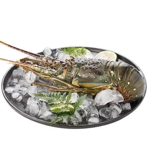 Frozen Crayfish Freshly Frozen Seafood Offering Rich Texture And Premium Standards For Wholesale Import Buyers - Image 4