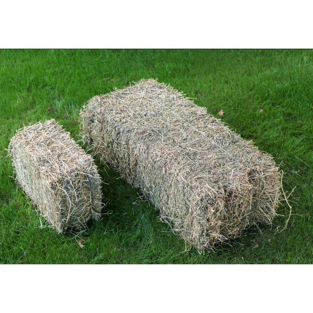 Premium Lucerne Hay - Image 2
