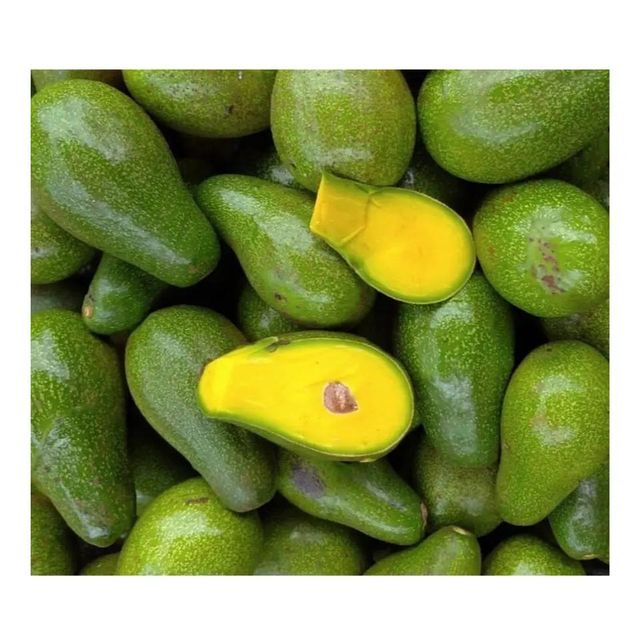 Newest Crop Fresh Avocado Fresh Vegetables With The Best Quality And Competitive Price From Viet Nam – product photo 1, product detail gallery