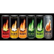 Wholesale best selling Burn Energy drinks 250ml  cheap price for export - Image 4
