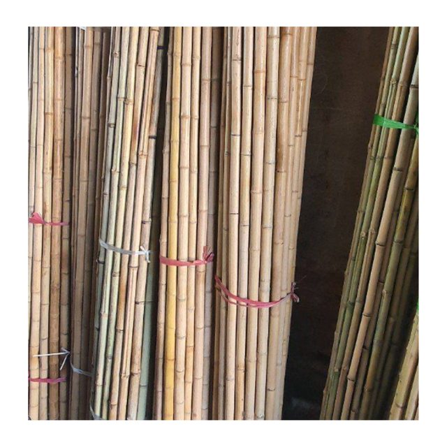 BAMBOO POLE FOR OUTDOOR CONSTRUCTION Packaging Details BUNCH IN PP - Image 7