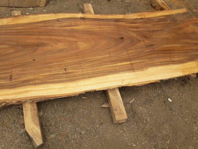 Company – photo 5 of 12, supplier detail gallery