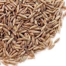 Buy high-quality cumin seeds (Cuminum cyminum) at wholesale prices. Export-grade, 99% purity, machine-cleaned, and sortex available. Ideal for spice blends, curries, bakery, and medicinal use. Bulk supply with worldwide shipping. - Image 4