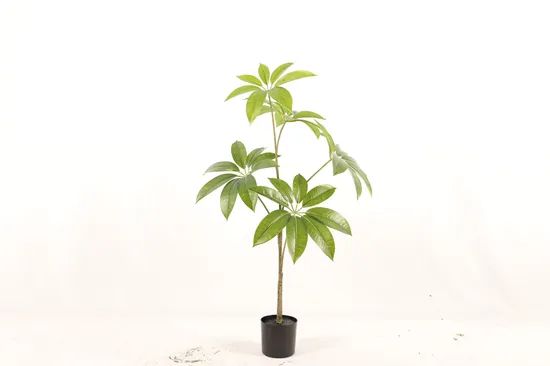 Umbrella Tree New Style Ecofriendly Artificial Plant - Image 1
