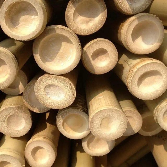 Premium Quality Eco-Friendly Bamboo Raw Materials Free Tax Directly from Viet Nam - Image 2