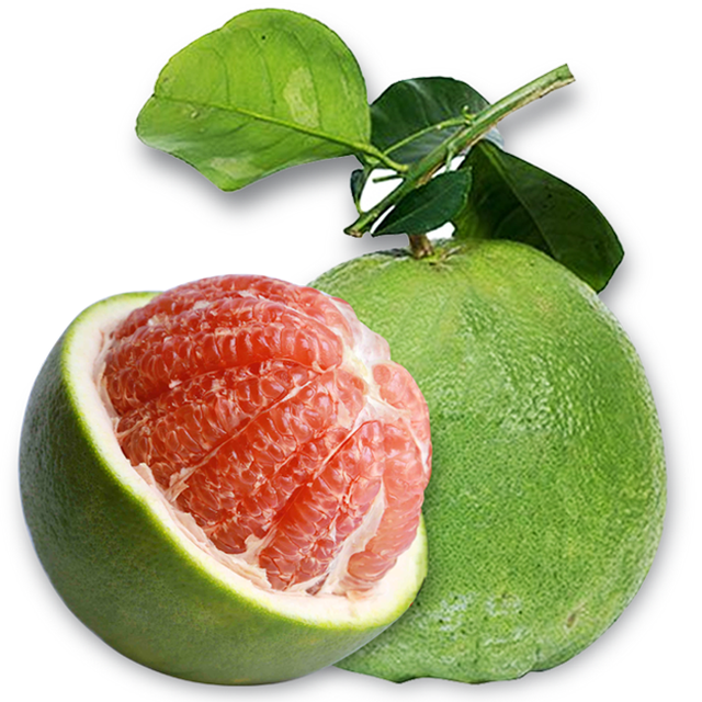 Wholesale High Quality New Harvest Fresh Sweet Taste POMELO grapefruit citrus fruits from Viet Nam - Whatsap 0084989322607 - Image 3