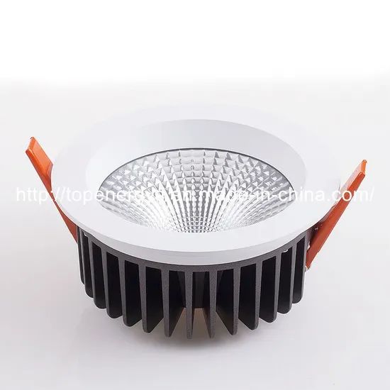 20W 5inch Citizen COB LED Osram LED Driver LED Downlight - Image 2