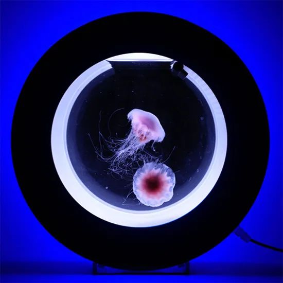 Colorful Jellyfish Fish Tank Aquarium LED Lighting Color Changing Night Lamp - Image 6