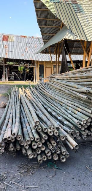 Bamboo Petung/Dendrocalamus Asper - Image 1
