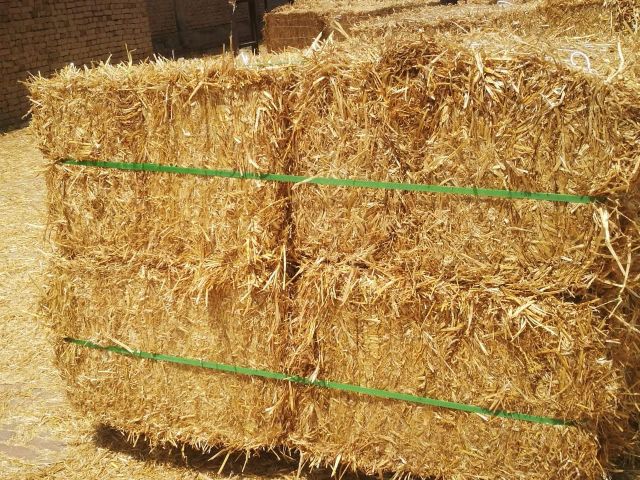 Wheat straw - Image 1