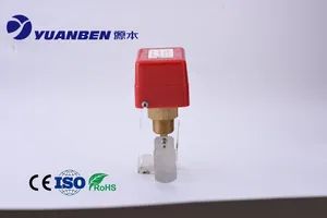 Paddle Flow Switches Control Different Flow Rate - Image 6