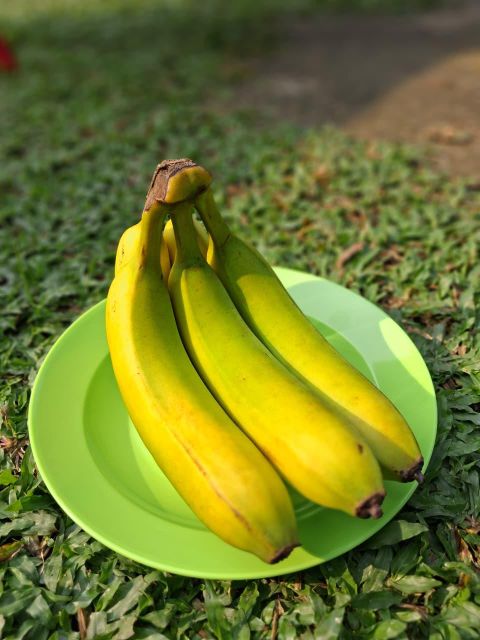 Fresh Cavendish Banana Grade A Premium Wholesale Export Quality - Image 1