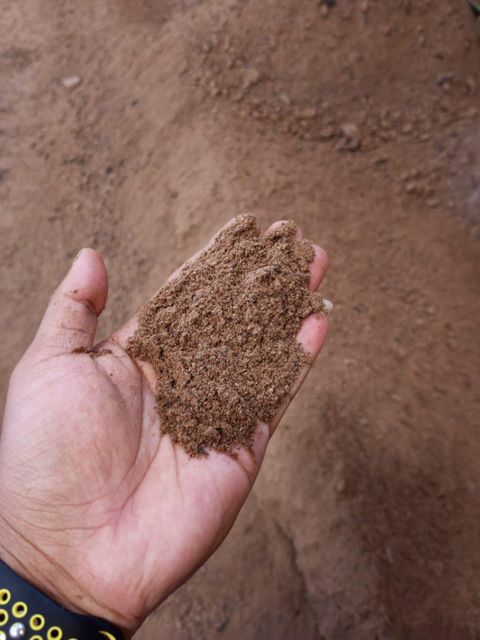 Palm Kernel Expeller Origin Indonesia Phthalate type Other Plasticizer Type Other Texture Fine Sifted (uniform Texture) Delivery Form Bag, Bulk Delivery, Sacks - Image 4