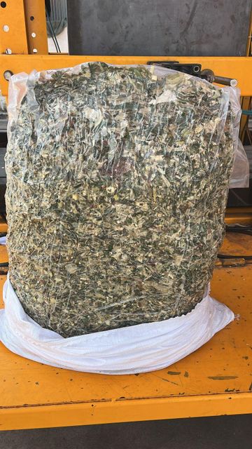 CORN SILAGE - Image 4