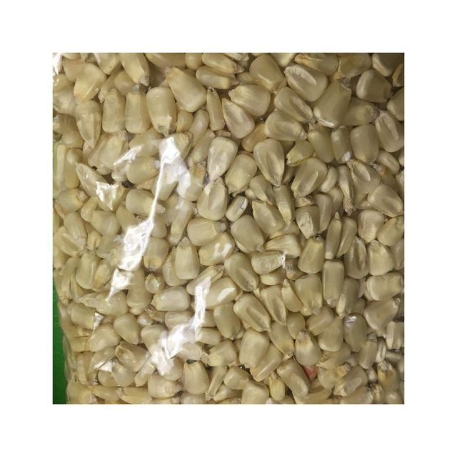 wholesale Price dry white corn High Quality Yellow Maize Corn for Animal Feed Supplier - Image 4