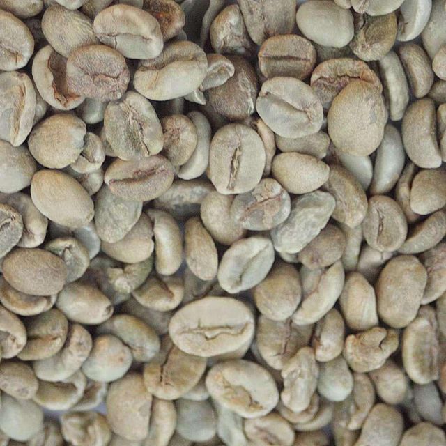 Hot Selling Premium Quality Robusta Arabica Coffee Beans Organic Direct Wholesale Green Roasted Blended Colored Dried Style Bulk - Image 1