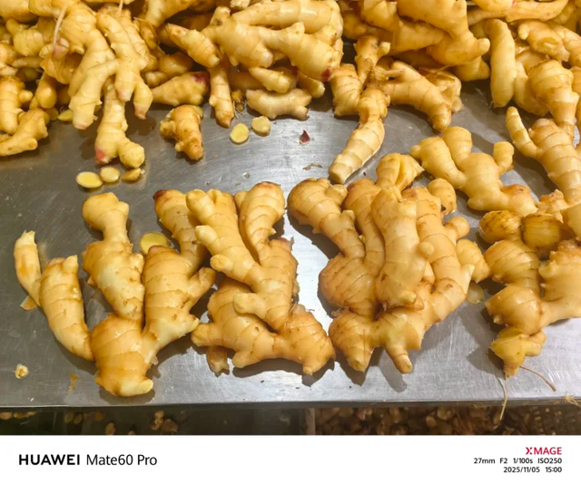 Fresh Ginger / Chinese Ginger / High Quality Natural Ginger for Export – Leading Supplier from China - Image 3