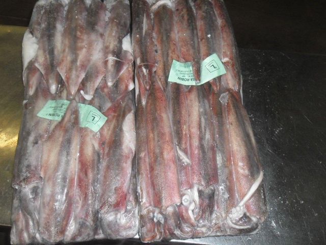 Frozen Squid - Loligo Reynaudii - Image 4