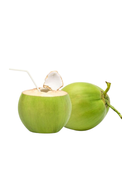 Big Sale - Vietnam Fresh Coconut-/Dried semi-coconut/ Desiccated Coconut fruit export USA,UK, EU market – product photo 3, product detail gallery