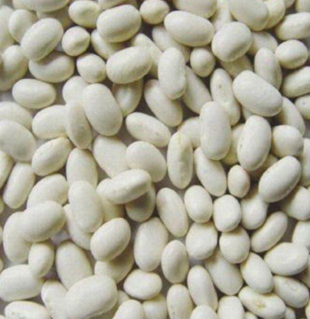 White beans - Image 2