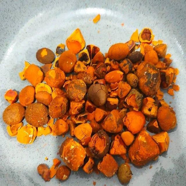 100% Natural Top Quality Ox Gallstones Cattle Gallstones Cow Gallstones Hot Selling Factory Price Buy Cow Gall Stones fo - Image 4