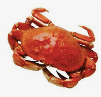 Bulk Frozen Whole King Crabs In Stock Buy Wholesale Cheap Price King Crab Legs For Sale - Image 1